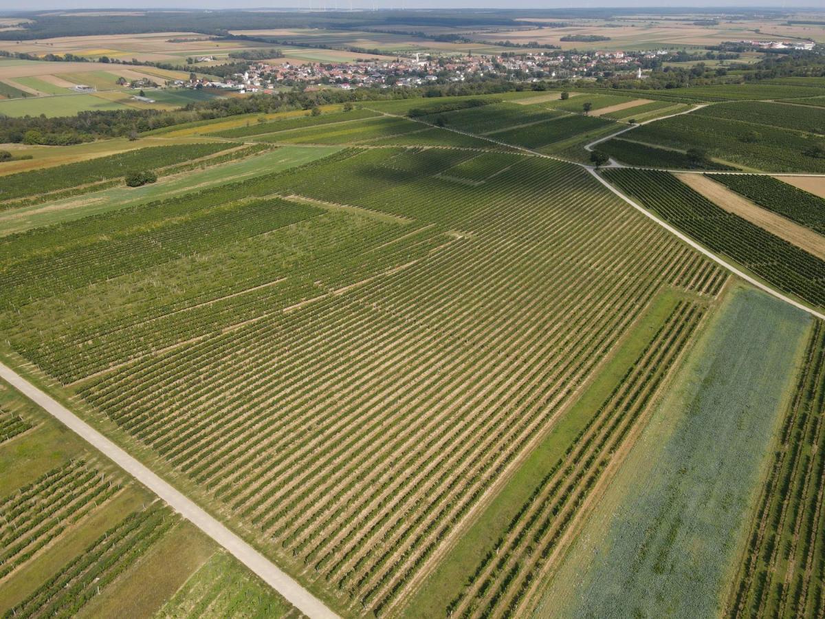 Pension Schloegl Lutzmannsburg Bagian luar foto